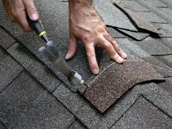 Roof Repairs in Auckland, NZ